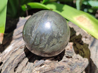 Polished Rare Pharaoh Stone Pyrite in Basalt Sphere-Balls x 3 From Iron Duke Mine, Zimbabwe - Toprock Gemstones and Minerals 