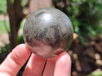Polished Rare Pharaoh Stone Pyrite in Basalt Sphere-Balls x 3 From Iron Duke Mine, Zimbabwe - Toprock Gemstones and Minerals 