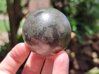 Polished Rare Pharaoh Stone Pyrite in Basalt Sphere-Balls x 3 From Iron Duke Mine, Zimbabwe - Toprock Gemstones and Minerals 