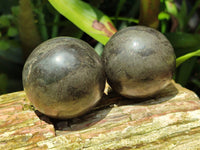 Polished Rare Pharaoh Stone Pyrite in Basalt Sphere-Balls x 3 From Iron Duke Mine, Zimbabwe - Toprock Gemstones and Minerals 