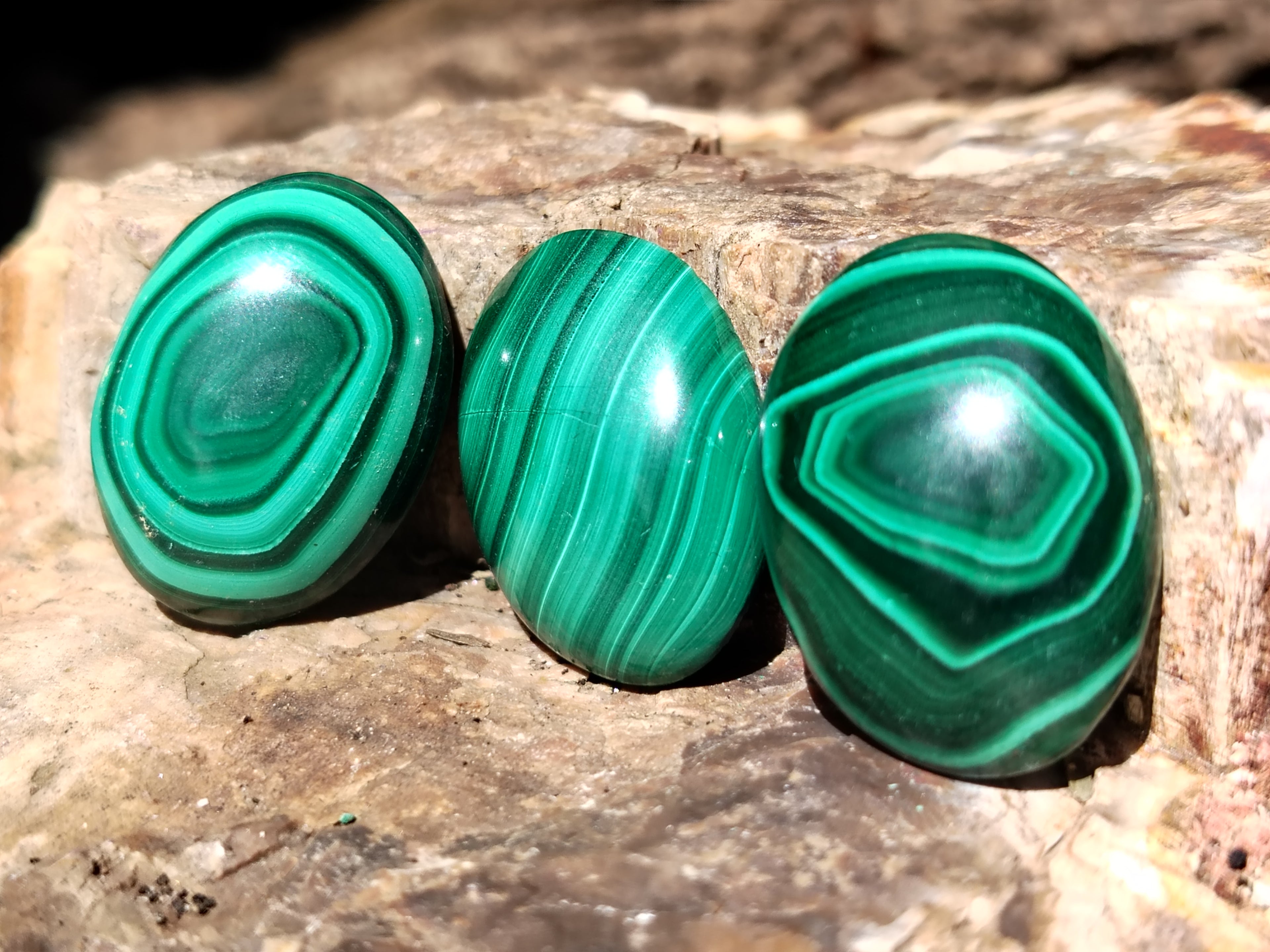 Hand Made Flower Banded Malachite Cabochons - Sold Per Item - From Congo - Toprock Gemstones and Minerals 