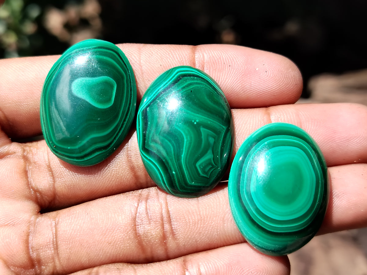 Hand Made Flower Banded Malachite Cabochons - Sold Per Item - From Congo - Toprock Gemstones and Minerals 