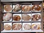 Polished Flower Agate Gallet / Palm Stones x 12 From Madagascar - Toprock Gemstones and Minerals 