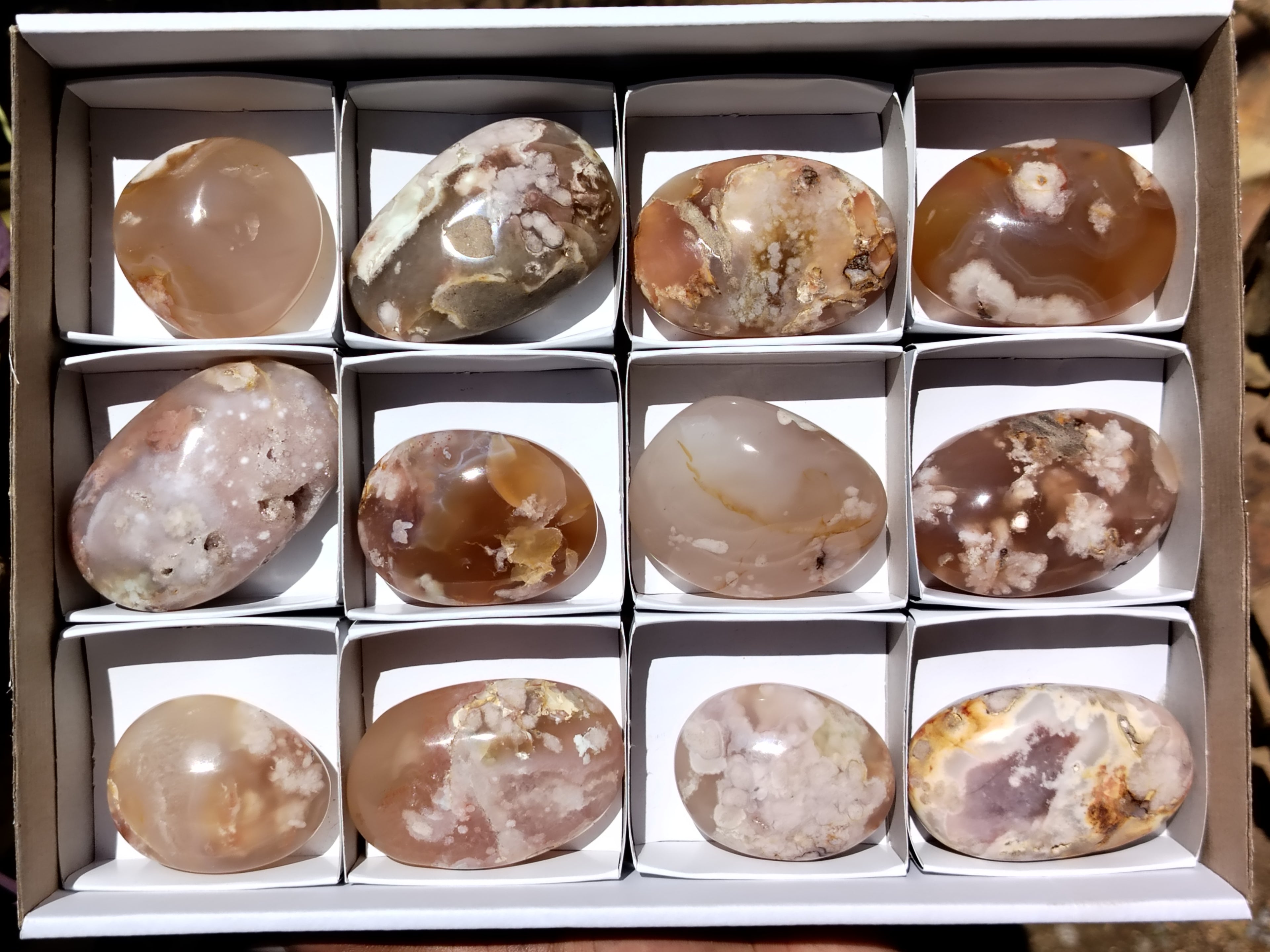 Polished Flower Agate Gallet / Palm Stones x 12 From Madagascar - Toprock Gemstones and Minerals 