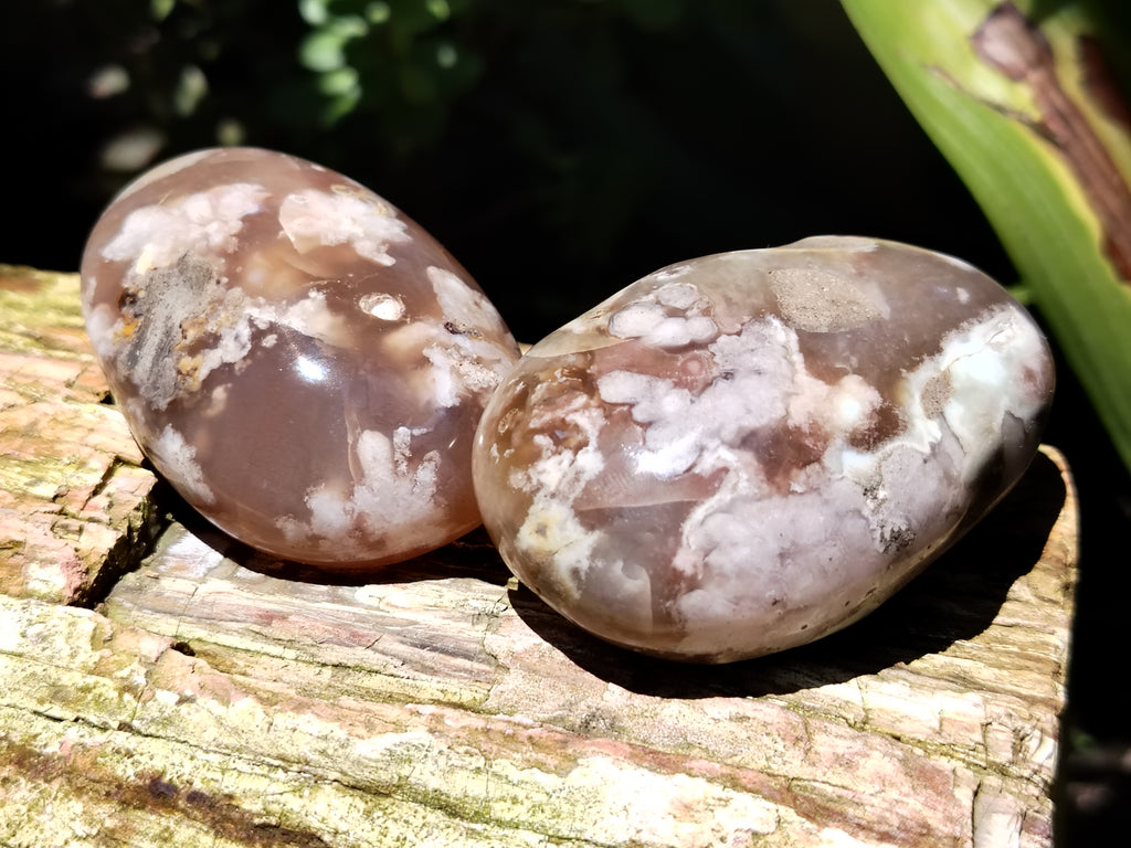 Polished Flower Agate Gallet / Palm Stones x 12 From Madagascar - Toprock Gemstones and Minerals 