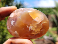 Polished Flower Agate Gallet / Palm Stones x 12 From Madagascar - Toprock Gemstones and Minerals 