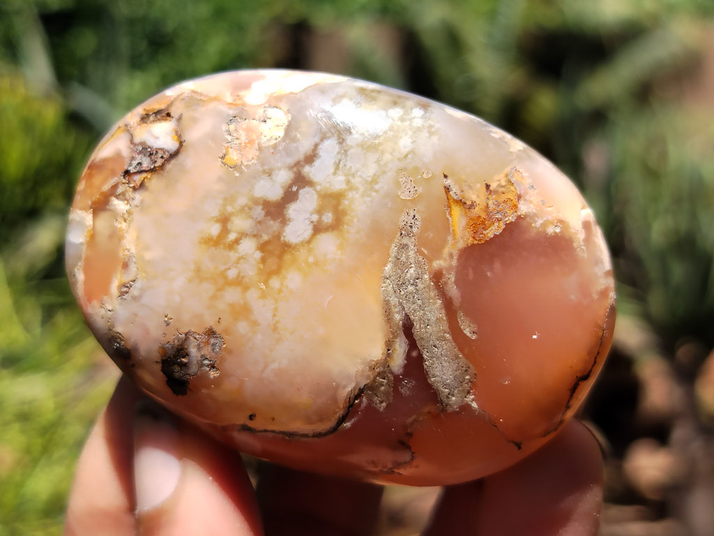 Polished Flower Agate Gallet / Palm Stones x 12 From Madagascar - Toprock Gemstones and Minerals 