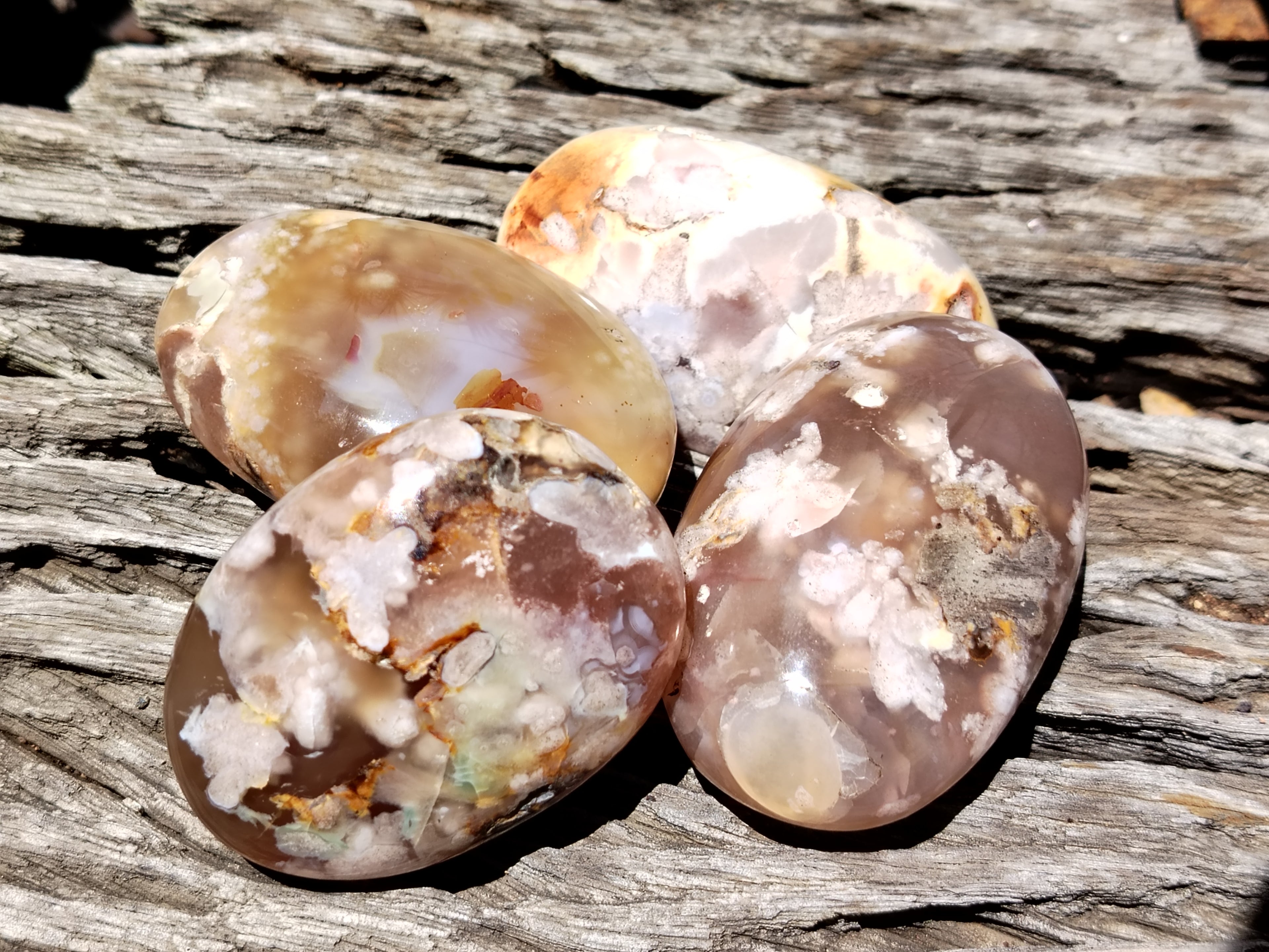 Polished Flower Agate Gallet / Palm Stones x 12 From Madagascar - Toprock Gemstones and Minerals 