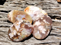 Polished Flower Agate Gallet / Palm Stones x 12 From Madagascar - Toprock Gemstones and Minerals 