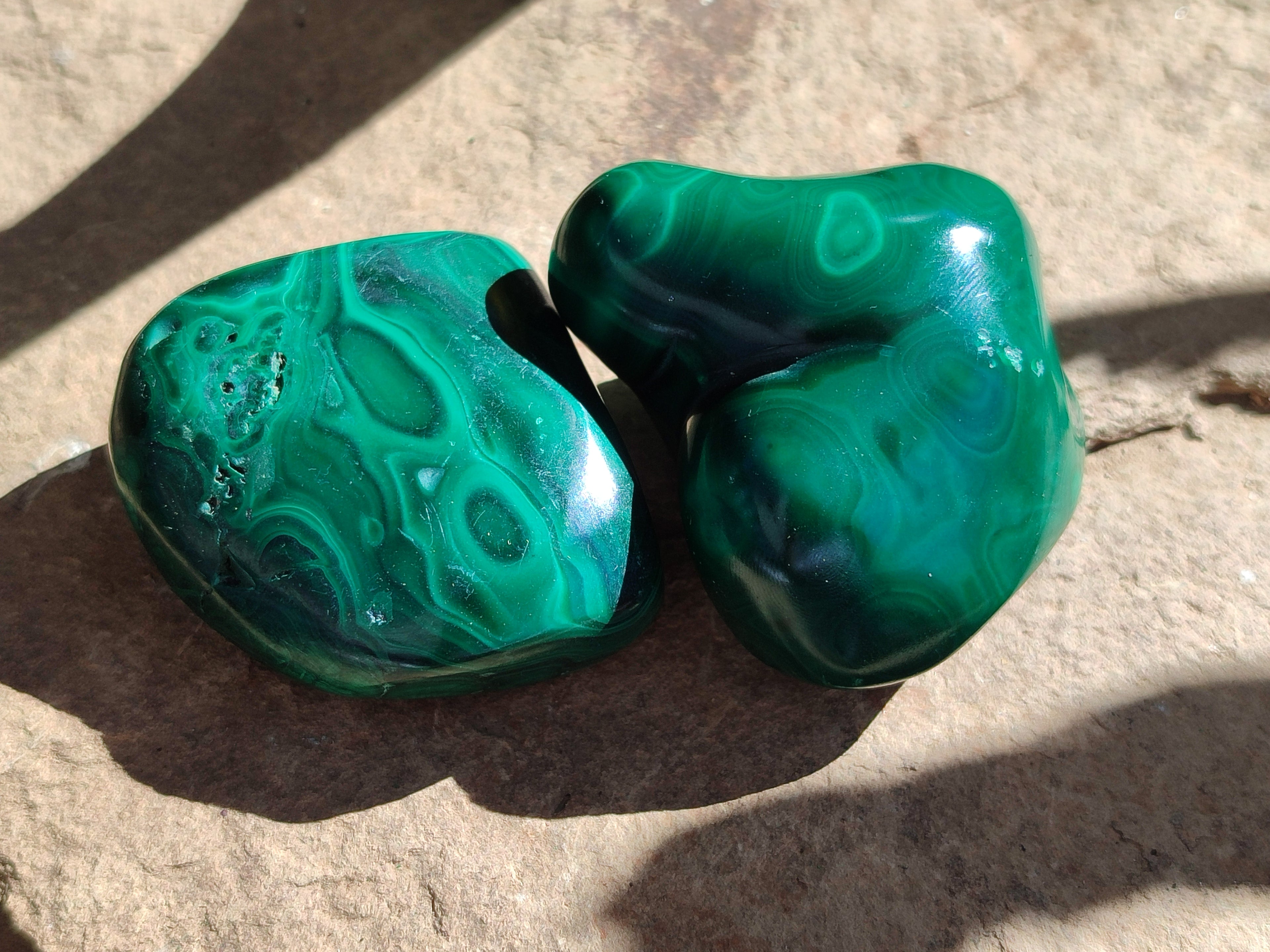 Polished Flower Banded Malachite Free Forms x 6 From Congo - Toprock Gemstones and Minerals 