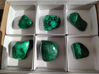 Polished Flower Banded Malachite Free Forms x 6 From Congo - Toprock Gemstones and Minerals 
