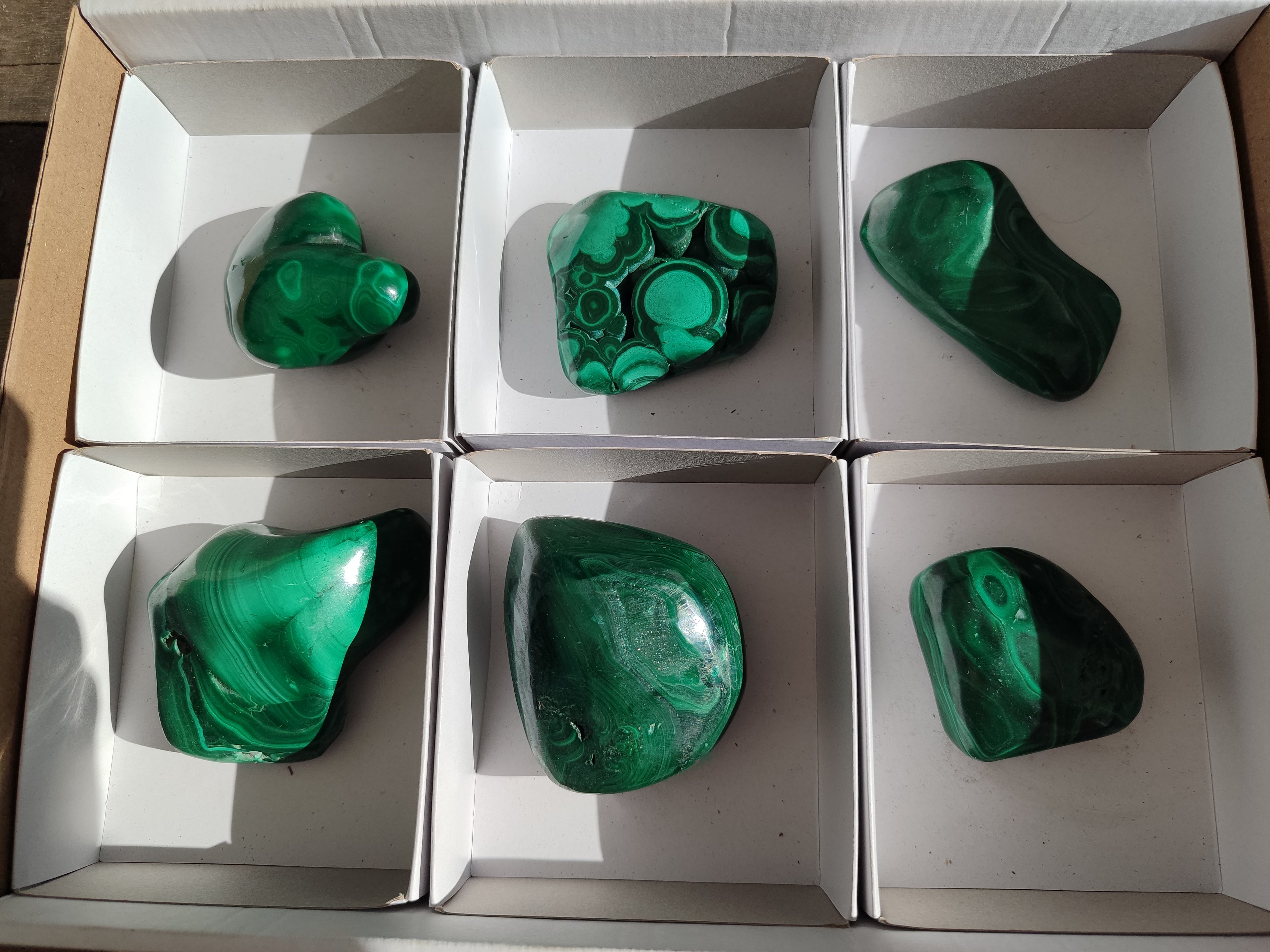 Polished Flower Banded Malachite Free Forms x 6 From Congo - Toprock Gemstones and Minerals 