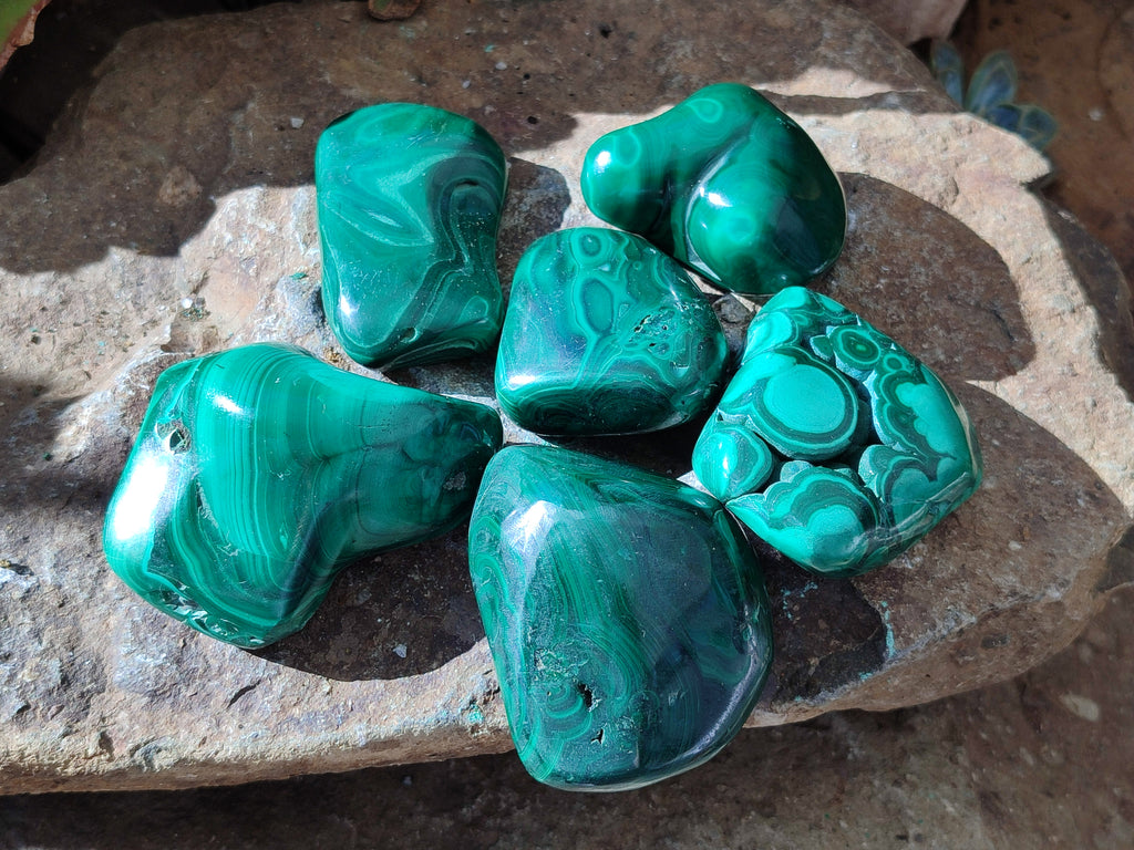 Polished Flower Banded Malachite Free Forms x 6 From Congo - Toprock Gemstones and Minerals 