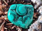 Polished Flower Banded Malachite Free Forms x 6 From Congo - Toprock Gemstones and Minerals 