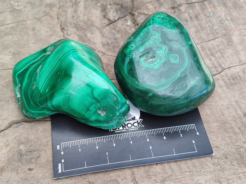 Polished Flower Banded Malachite Free Forms x 6 From Congo - Toprock Gemstones and Minerals 