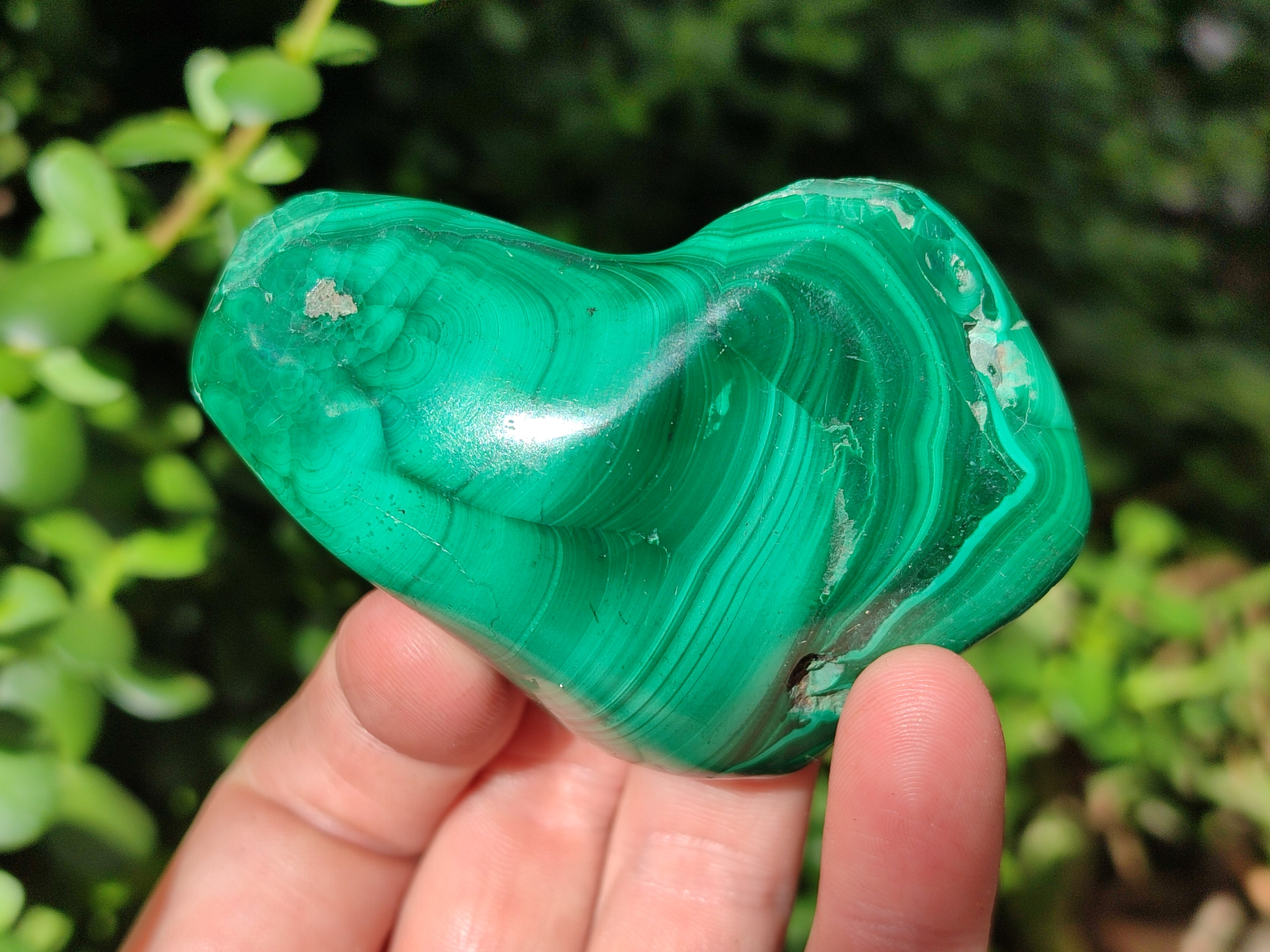 Polished Flower Banded Malachite Free Forms x 6 From Congo - Toprock Gemstones and Minerals 