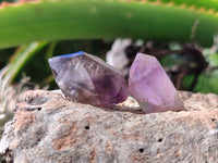 Natural Royal Zulu Amethyst Crystals x 79 from KwaZulu Natal, South Africa - Toprock Gemstones and Minerals 