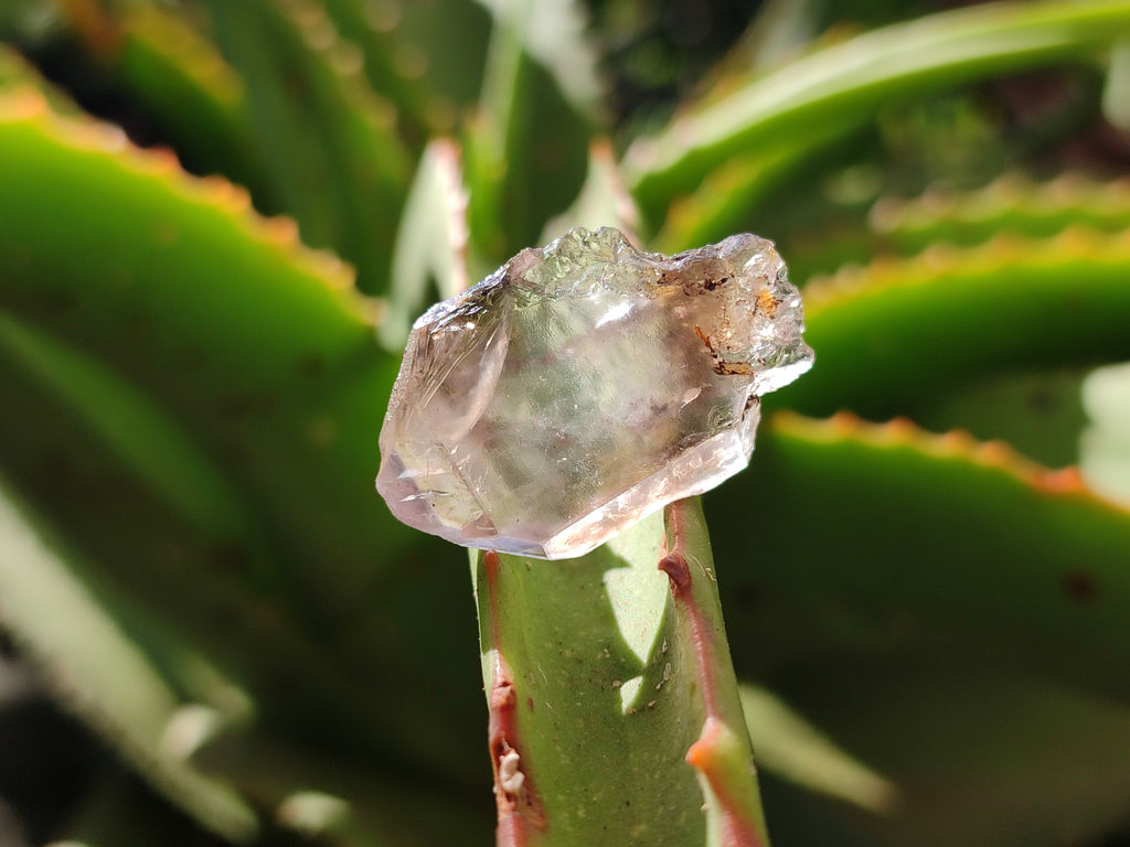 Natural Royal Zulu Amethyst Crystals x 79 from KwaZulu Natal, South Africa - Toprock Gemstones and Minerals 