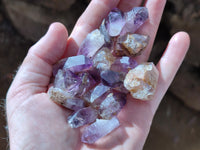Natural Royal Zulu Amethyst Crystals x 79 from KwaZulu Natal, South Africa - Toprock Gemstones and Minerals 