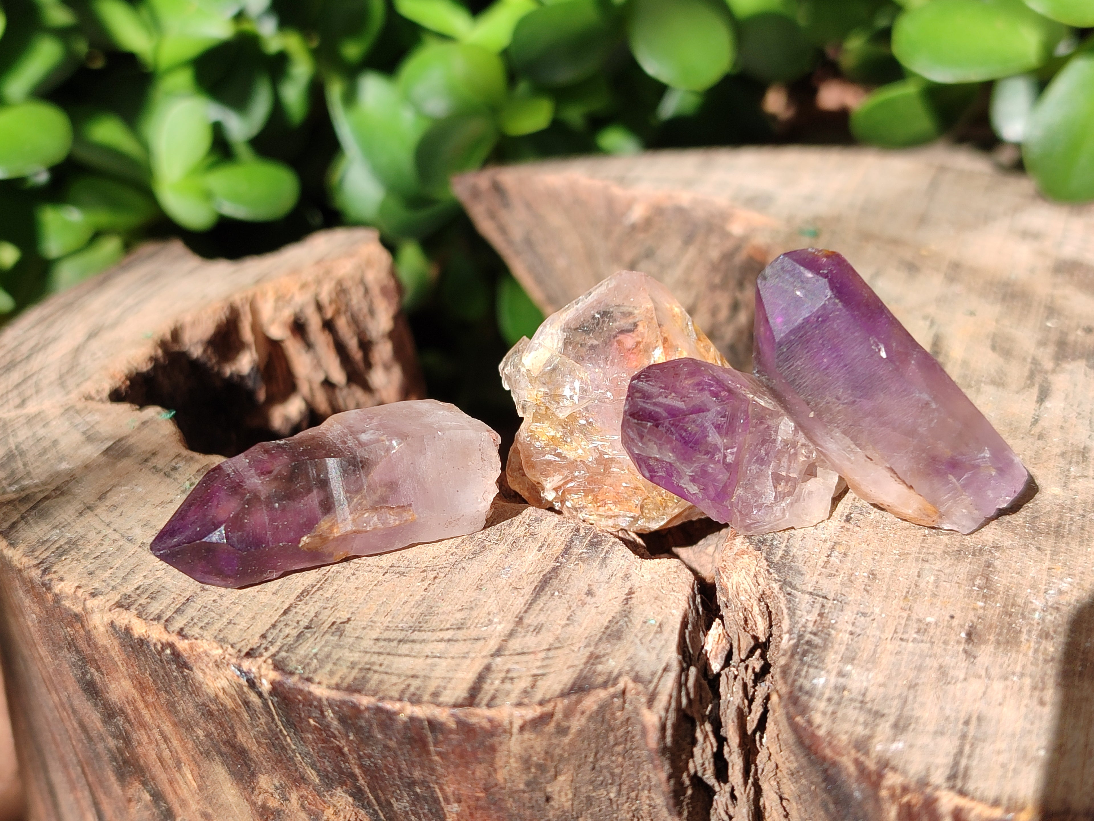Natural Royal Zulu Amethyst Crystals x 79 from KwaZulu Natal, South Africa - Toprock Gemstones and Minerals 
