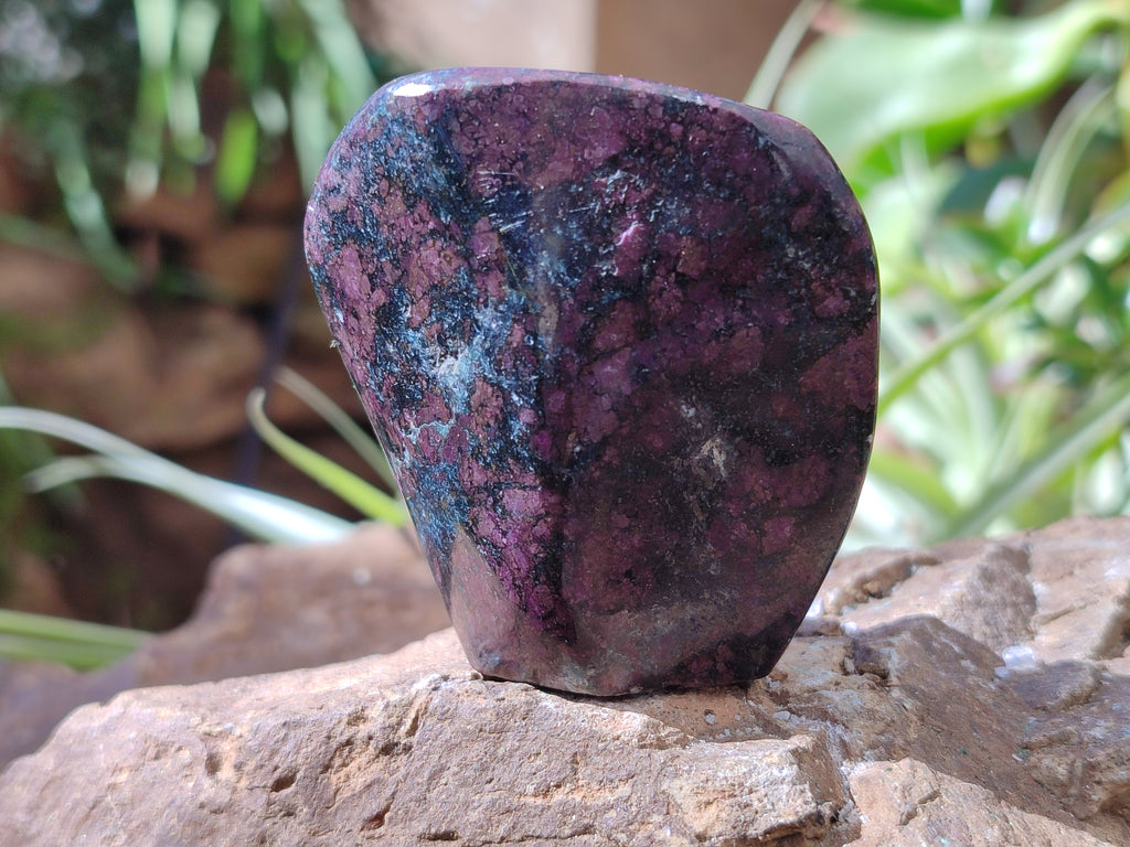 Polished Ruby Corundum In Chrome Verdite Standing Free Forms x 6 From Zimbabwe - Toprock Gemstones and Minerals 