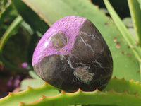 Polished Stichtite Free Forms x 6 From Barberton, South Africa - Toprock Gemstones and Minerals 