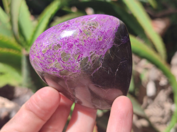 Polished Stichtite Free Forms x 6 From Barberton, South Africa - Toprock Gemstones and Minerals 