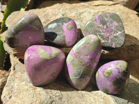 Polished Stichtite Free Forms x 6 From Barberton, South Africa - Toprock Gemstones and Minerals 