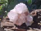 Natural Amethyst Spirit Quartz Clusters x 12 From Boekenhouthoek, South Africa - Toprock Gemstones and Minerals 