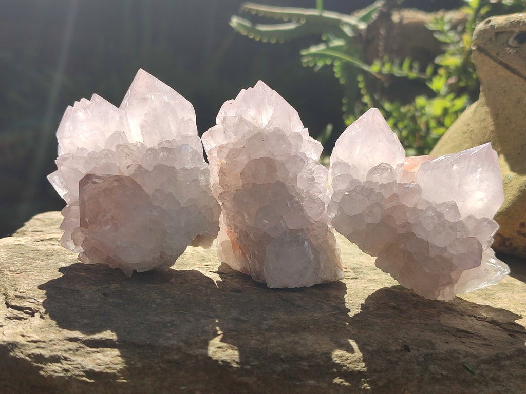 Natural Amethyst Spirit Quartz Clusters x 12 From Boekenhouthoek, South Africa - Toprock Gemstones and Minerals 