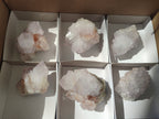 Natural Amethyst Spirit Quartz Clusters x 12 From Boekenhouthoek, South Africa - Toprock Gemstones and Minerals 