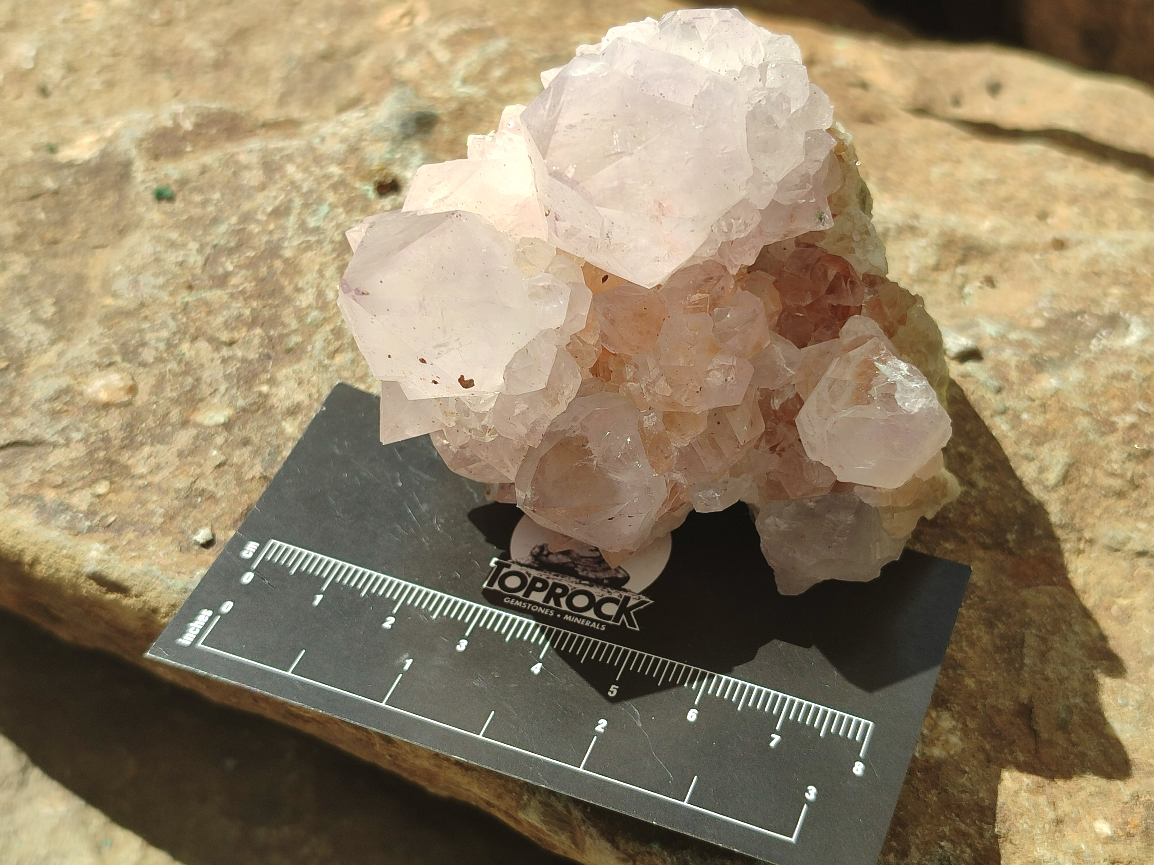Natural Amethyst Spirit Quartz Clusters x 12 From Boekenhouthoek, South Africa - Toprock Gemstones and Minerals 