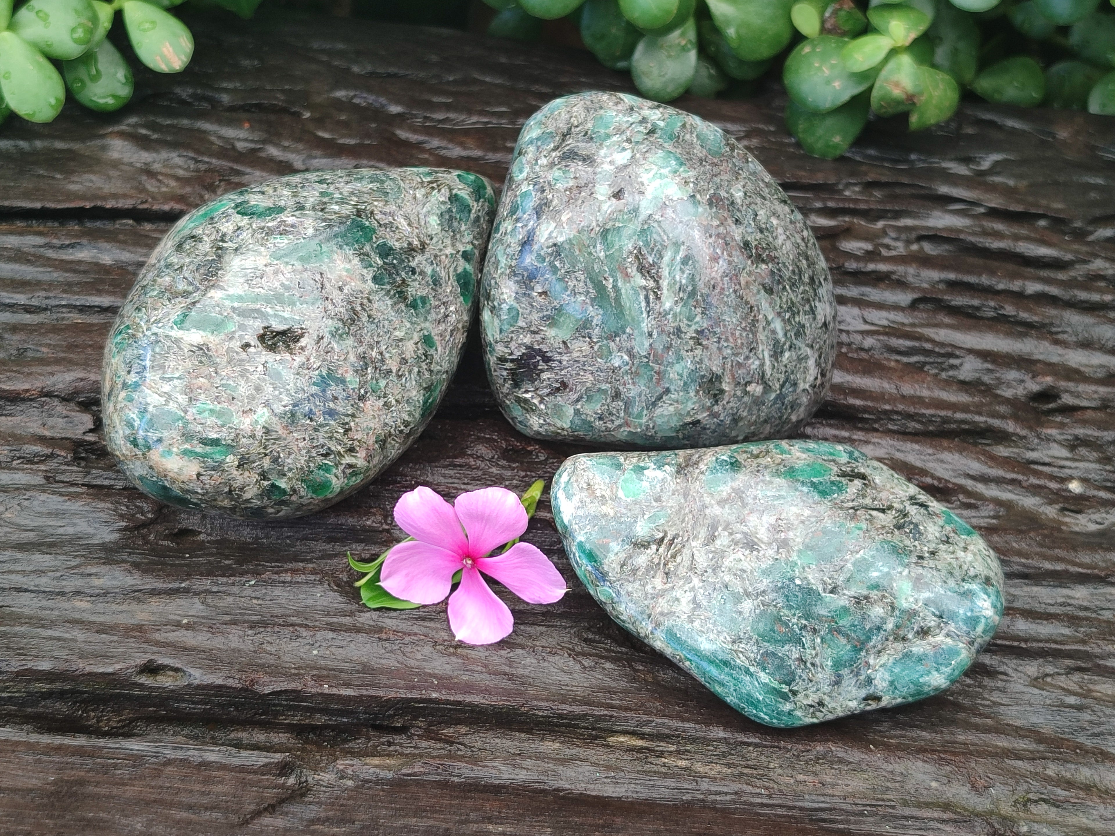 Polished Emerald Mica In Matrix Free Forms x 3 From Mutoko, Zimbabwe - Toprock Gemstones and Minerals 