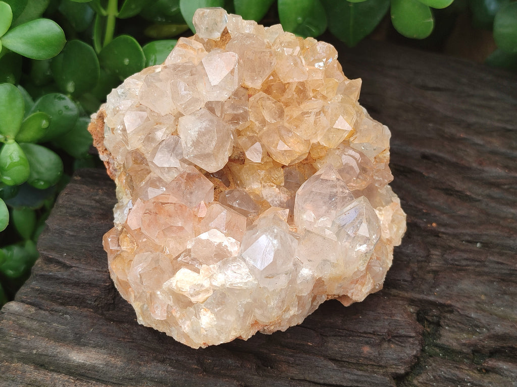 Natural Limonite Quartz Clusters x 6 From Solwezi, Zambia - Toprock Gemstones and Minerals 