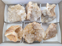 Natural Limonite Quartz Clusters x 6 From Solwezi, Zambia - Toprock Gemstones and Minerals 