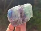 Natural Watermelon Fluorite Cobbed Specimens x 12 From Uis, Namibia - Toprock Gemstones and Minerals 