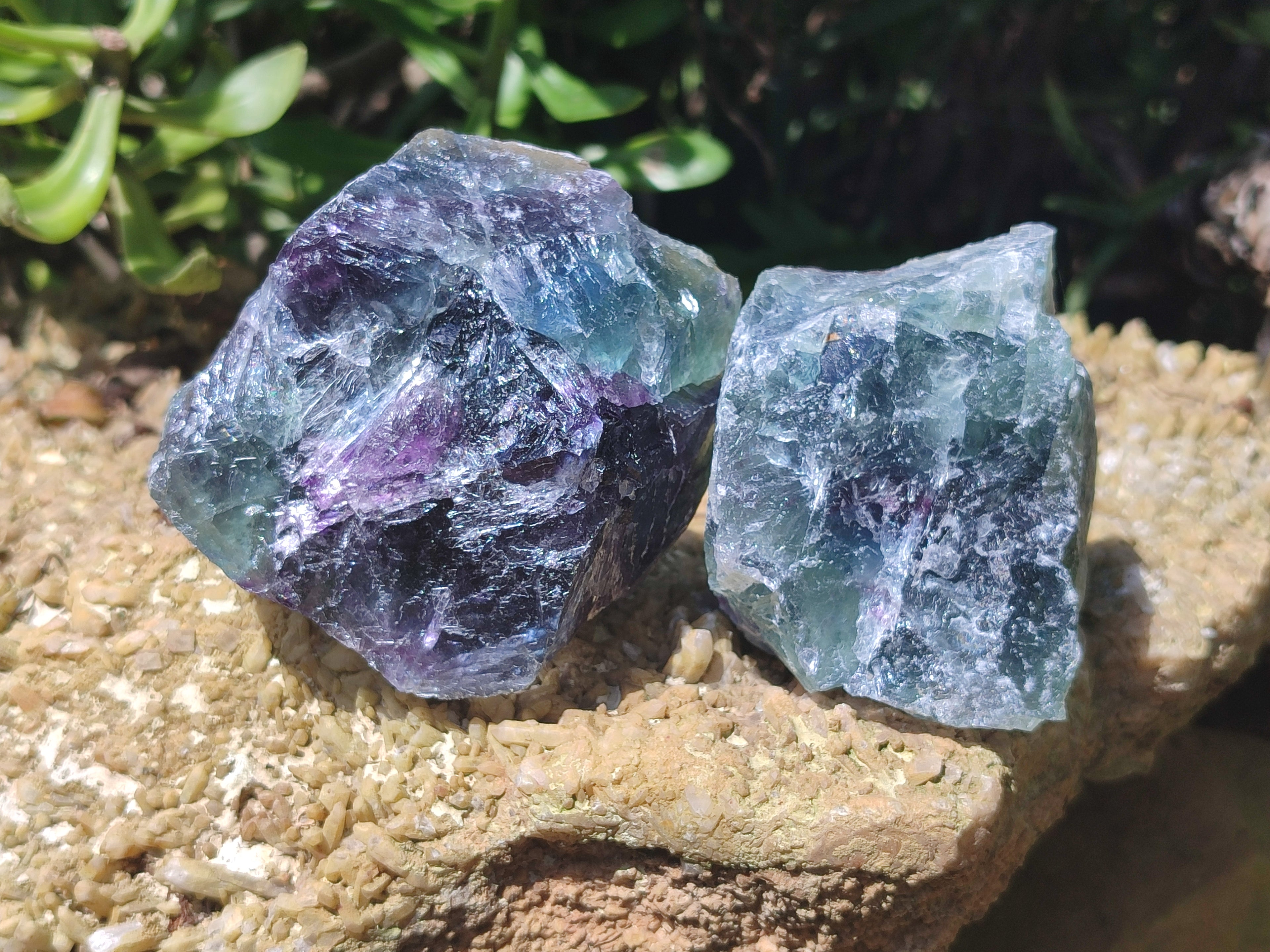 Natural Watermelon Fluorite Cobbed Specimens x 12 From Uis, Namibia - Toprock Gemstones and Minerals 