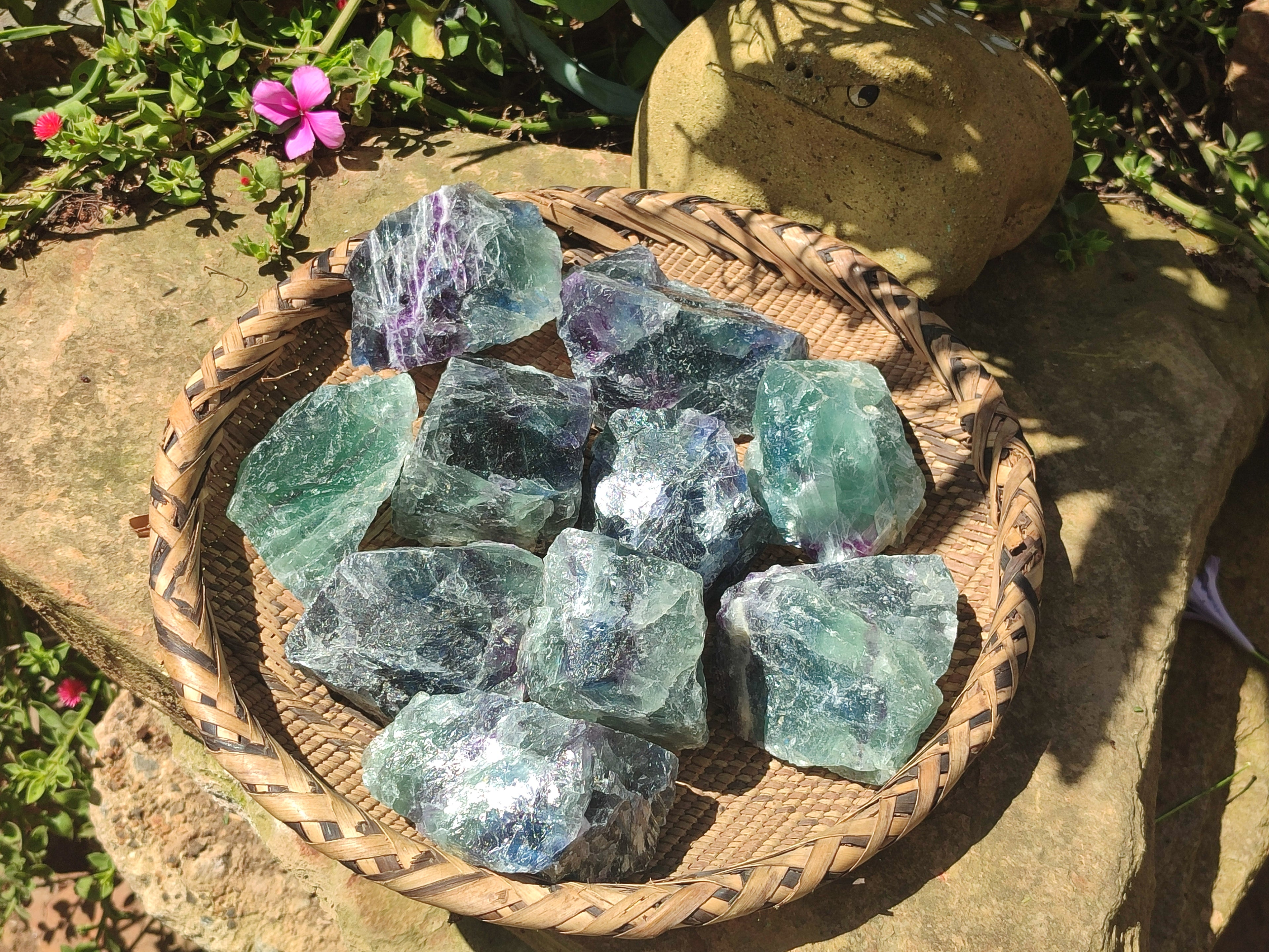 Natural Watermelon Fluorite Cobbed Specimens x 12 From Uis, Namibia - Toprock Gemstones and Minerals 