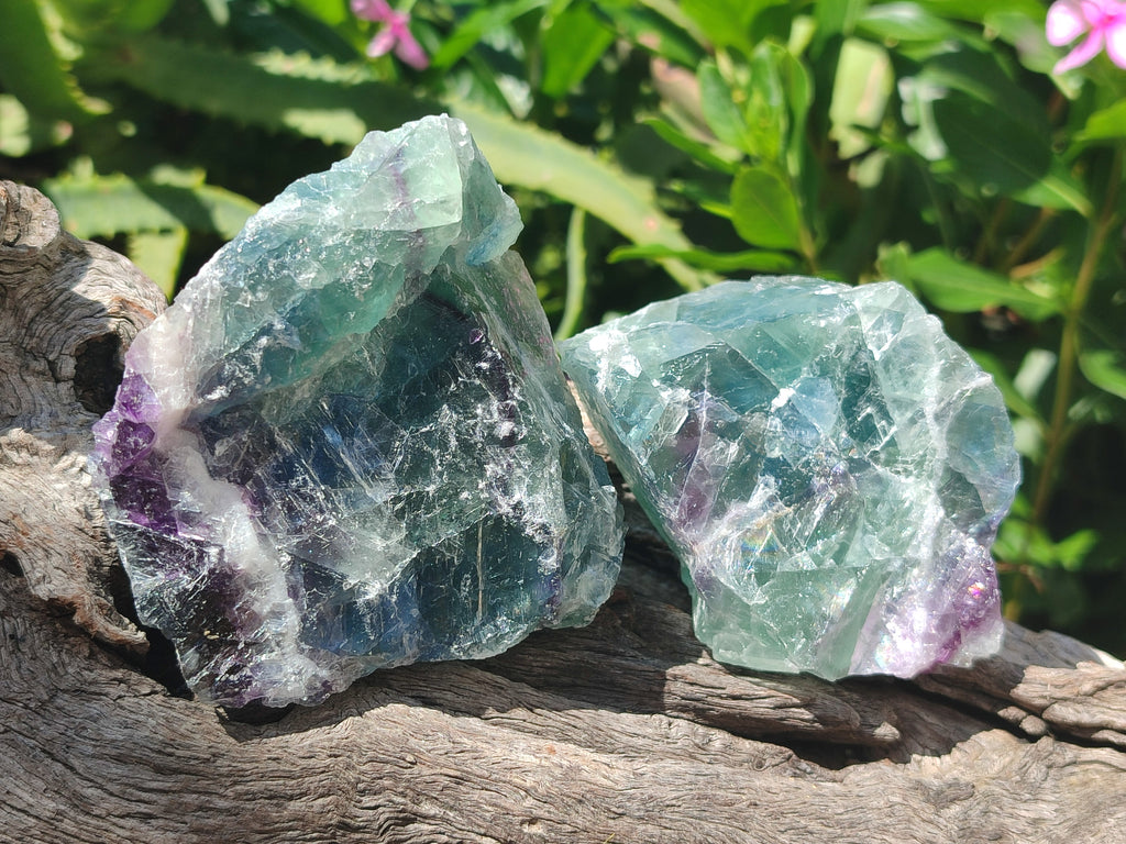 Natural Watermelon Fluorite Cobbed Specimens x 12 From Uis, Namibia - Toprock Gemstones and Minerals 