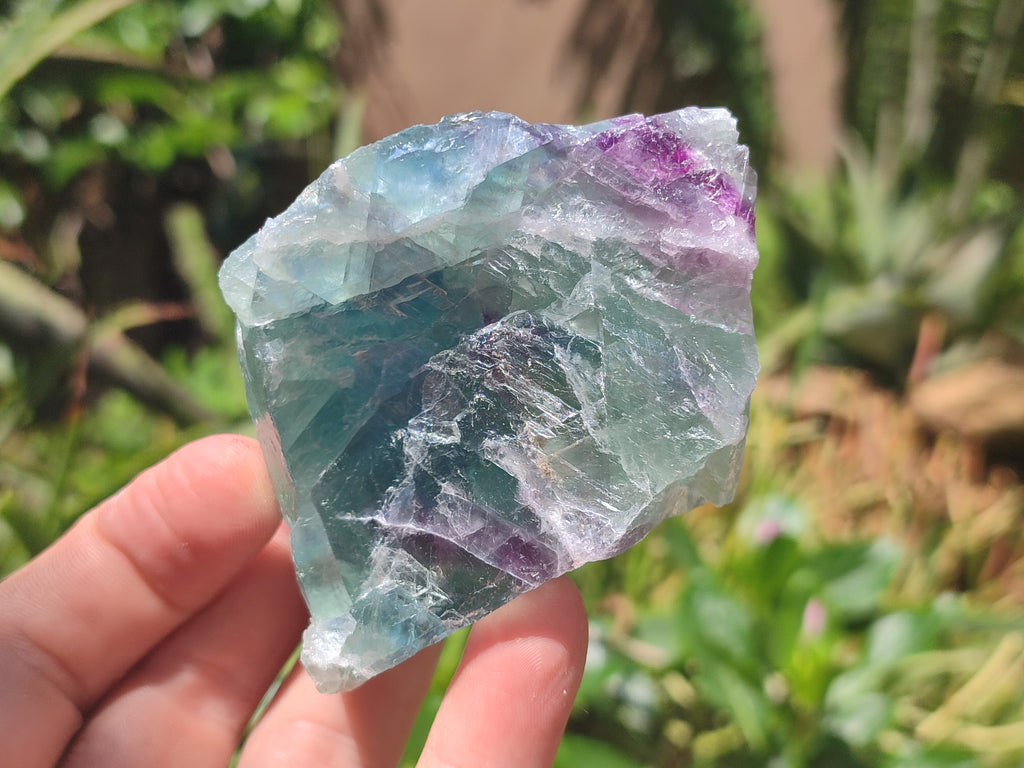 Natural Watermelon Fluorite Cobbed Specimens x 12 From Uis, Namibia - Toprock Gemstones and Minerals 