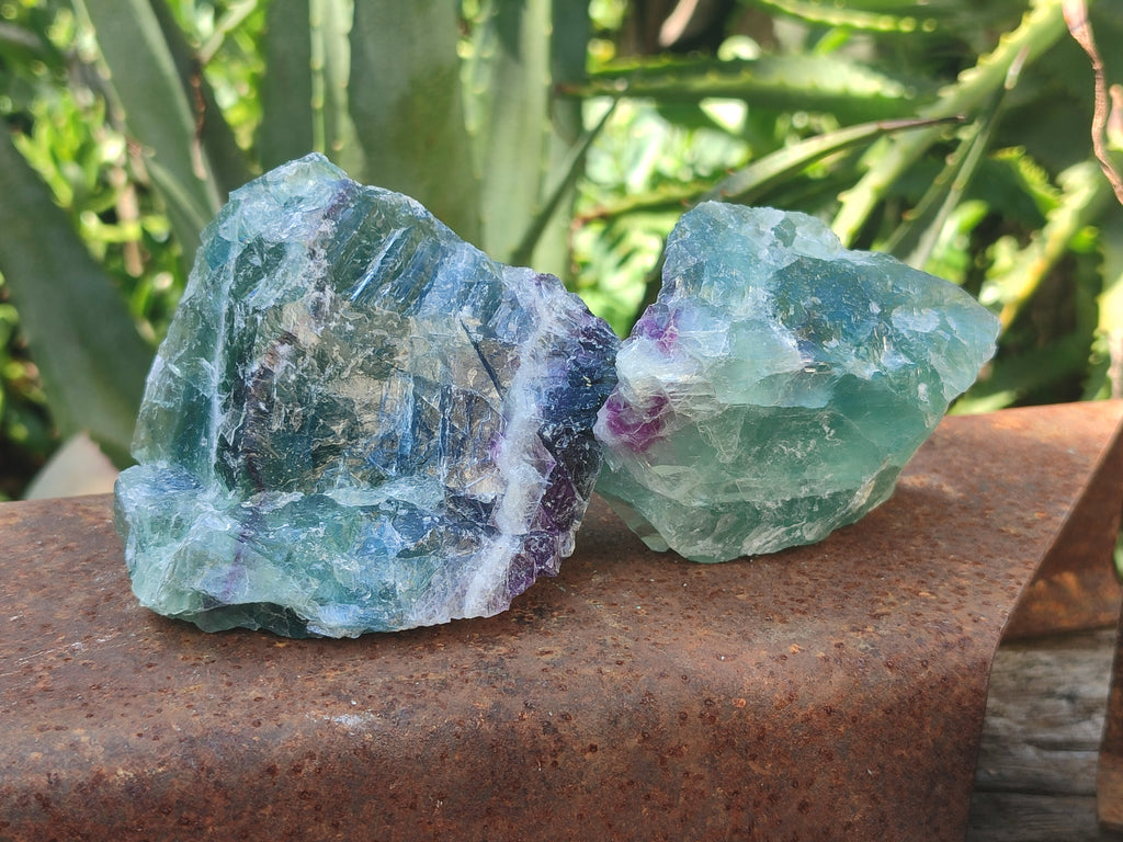 Natural Watermelon Fluorite Cobbed Specimens x 12 From Uis, Namibia - Toprock Gemstones and Minerals 