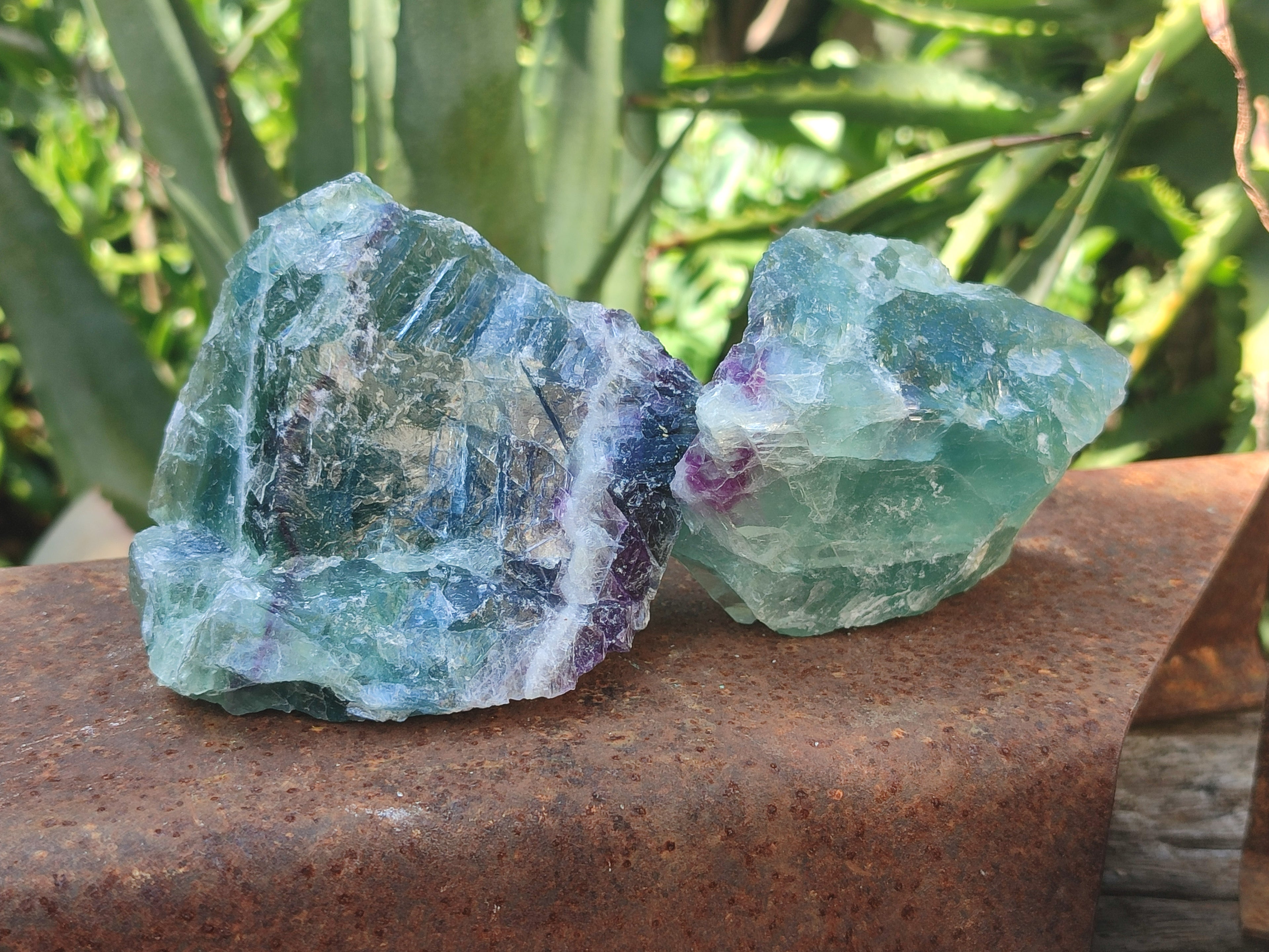 Natural Watermelon Fluorite Cobbed Specimens x 12 From Uis, Namibia - Toprock Gemstones and Minerals 