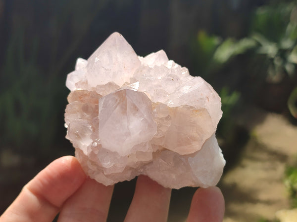 Natural Cactus Spirit Quartz Clusters x 6 From Boekenhouthoek, South Africa