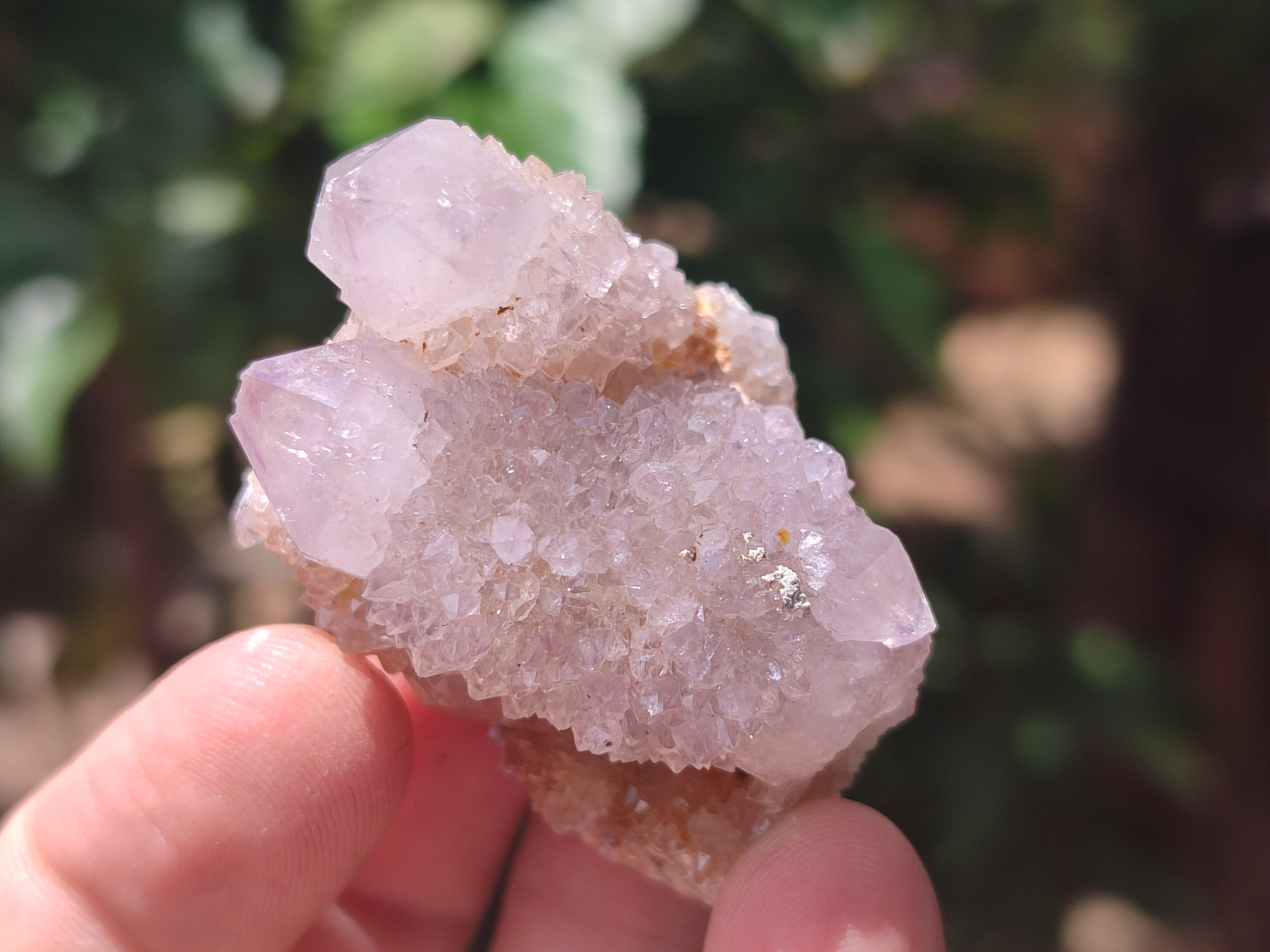 Natural Amethyst Spirit Quartz Clusters x 21 From Boekenhouthoek, South Africa - Toprock Gemstones and Minerals 