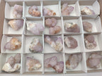 Natural Amethyst Spirit Quartz Clusters x 21 From Boekenhouthoek, South Africa - Toprock Gemstones and Minerals 