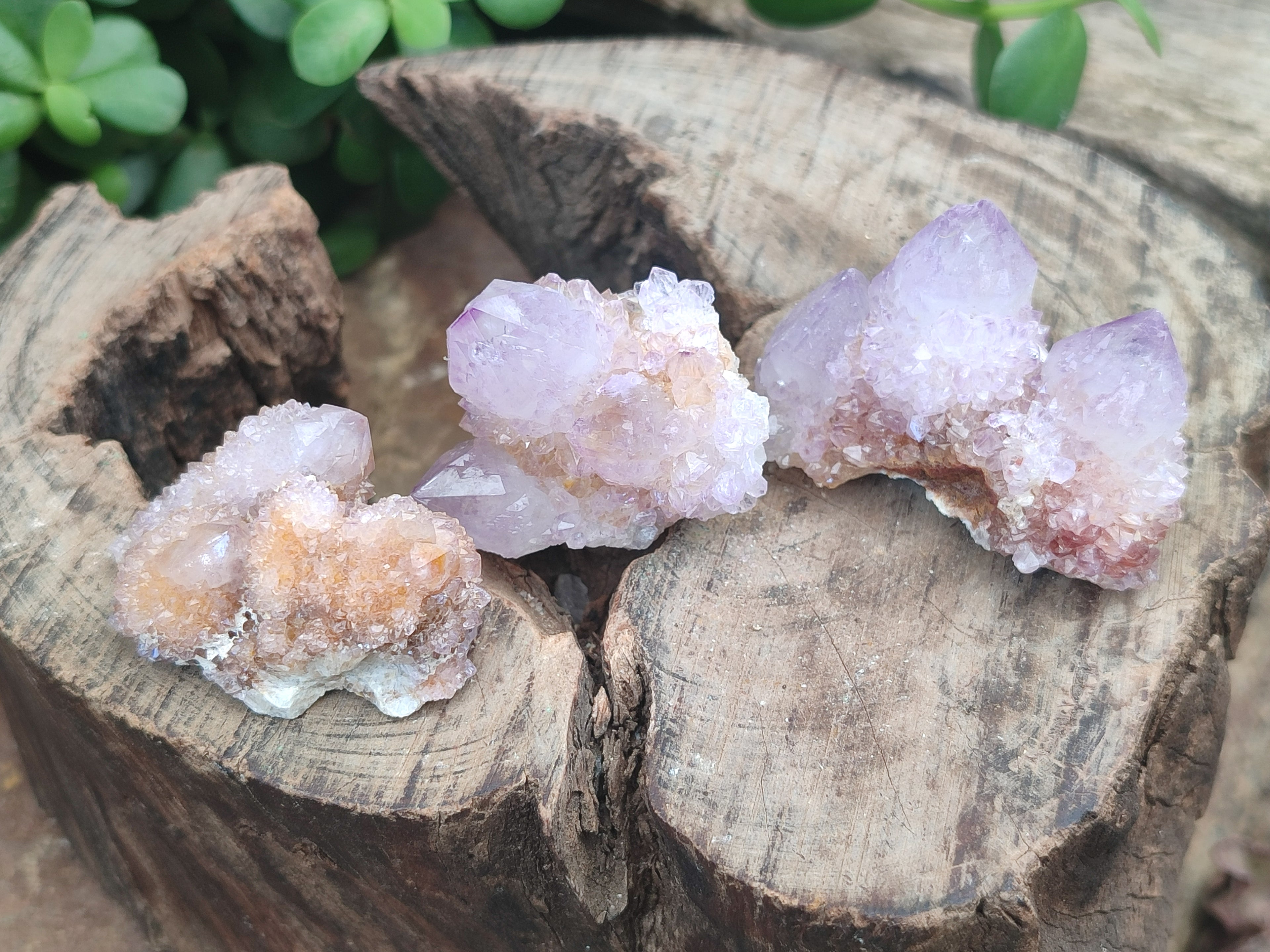 Natural Amethyst Spirit Quartz Clusters x 21 From Boekenhouthoek, South Africa - Toprock Gemstones and Minerals 