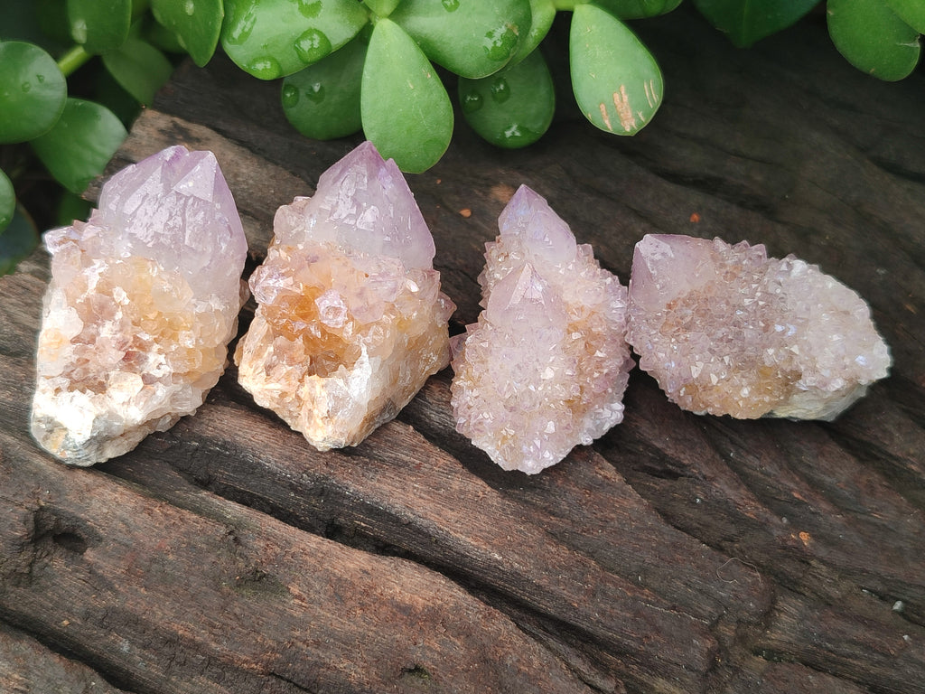 Natural Amethyst Spirit Quartz Clusters x 21 From Boekenhouthoek, South Africa - Toprock Gemstones and Minerals 