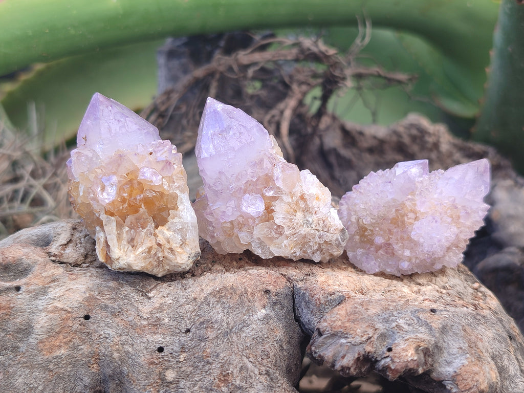 Natural Amethyst Spirit Quartz Clusters x 21 From Boekenhouthoek, South Africa - Toprock Gemstones and Minerals 