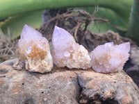 Natural Amethyst Spirit Quartz Clusters x 21 From Boekenhouthoek, South Africa