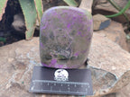 Polished Stichtite Standing Free Form x 1 From Barberton, South Africa - Toprock Gemstones and Minerals 